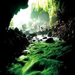 物魔种起源第三季百兽争霸v1.1_魔兽生存地图下载附游戏攻略