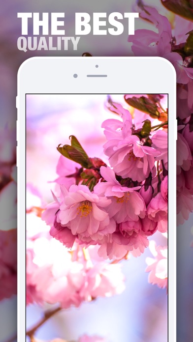 <?=$ecms_gr[title]?>