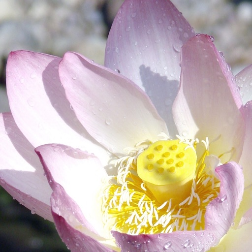 光影大师 - 明暗调整，过曝修复