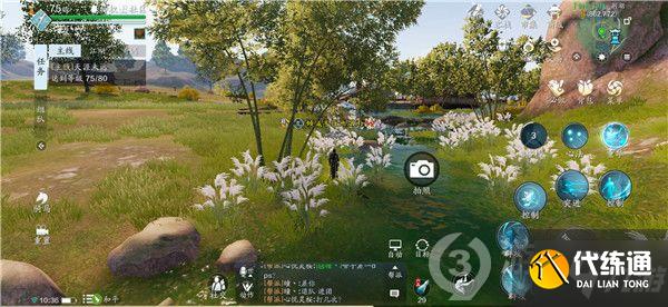 天涯明月刀手游荆湖胜景录位置汇总