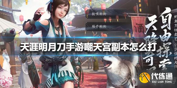 天涯明月刀手游嘲天宫副本打法攻略