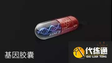 明日之后基因改造玩法介绍_基因改造攻略