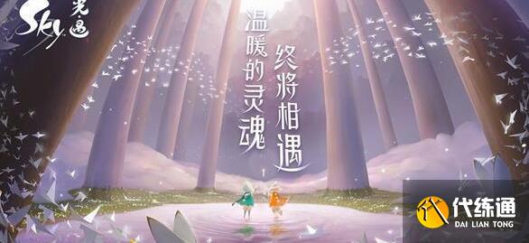 光遇 8.24 每日任务攻略_8.24 大蜡烛位置