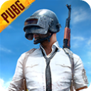 pubg体验服下载安装官方正版(BETA PUBG MOBILE)v4.0.4 安卓版