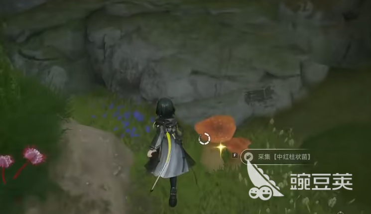 明日方舟终末地大蘑菇怎么获得