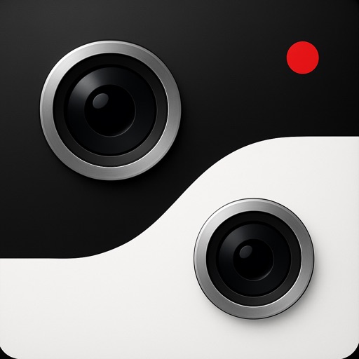 Splitgram 双摄像头录制器